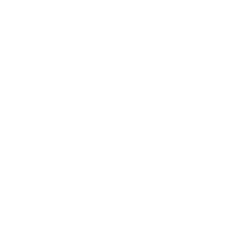 Smart Fox Solutions